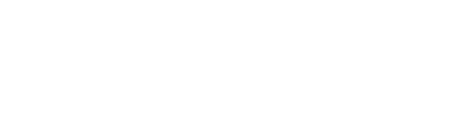 SNAP Insurance Service, LLC